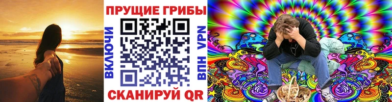 что такое   Ладушкин  Псилоцибиновые грибы мицелий 